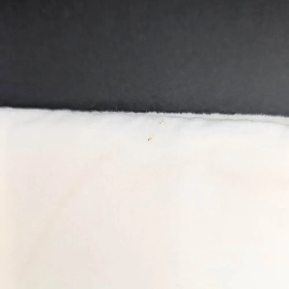 Pottery Barn Eira Pillow Cover Velvet Ivory Beaded Snowflake Metallic 20